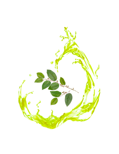 flavoured olive oil balsamic oil