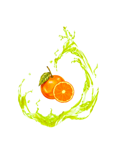 balsamic oil, olive oil orange 2