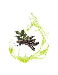 Carob-flavoured olive oil 2