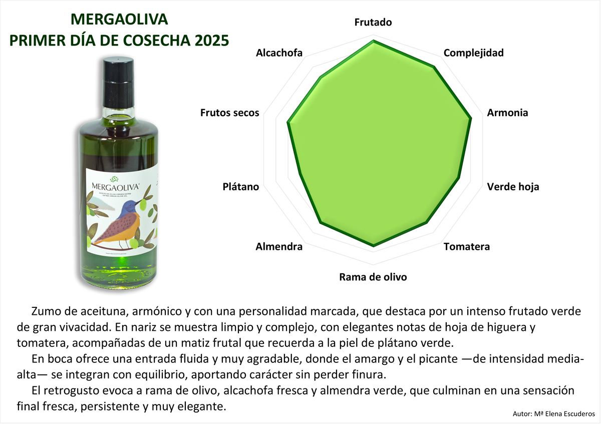 Primer dia MERGAOLIVA