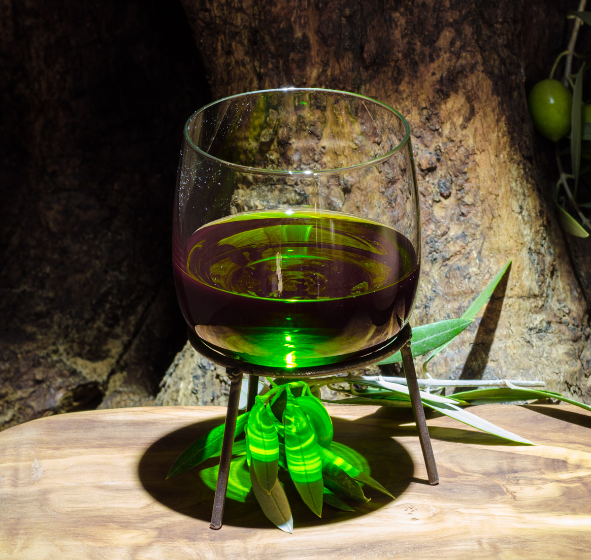 Comienzo campaña aceites tempranos